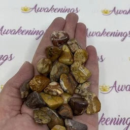 Birds Eye Rhyolite Jasper - Tumbled