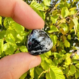 Aegirine (Acmite) - Tumbled