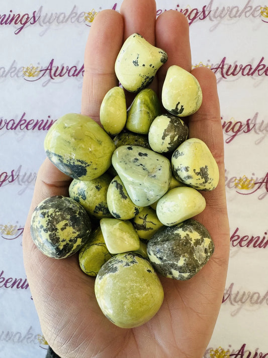 Serpentine & Pyrite - Tumbled