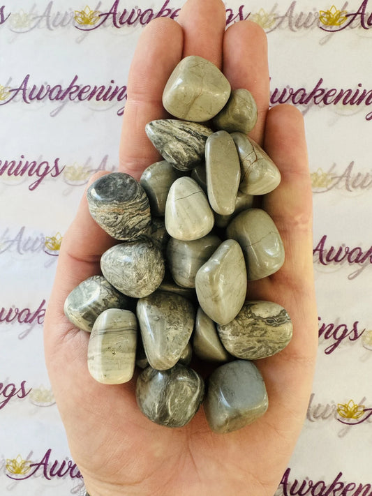 Shark Skin Agate - Tumbled