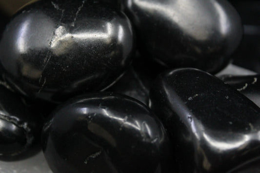 Shungite Tumbled - XL Extra Large