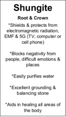 Shungite - Tumbled