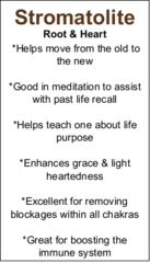 Stromatolite (Dark) Plum Jasper - Tumbled