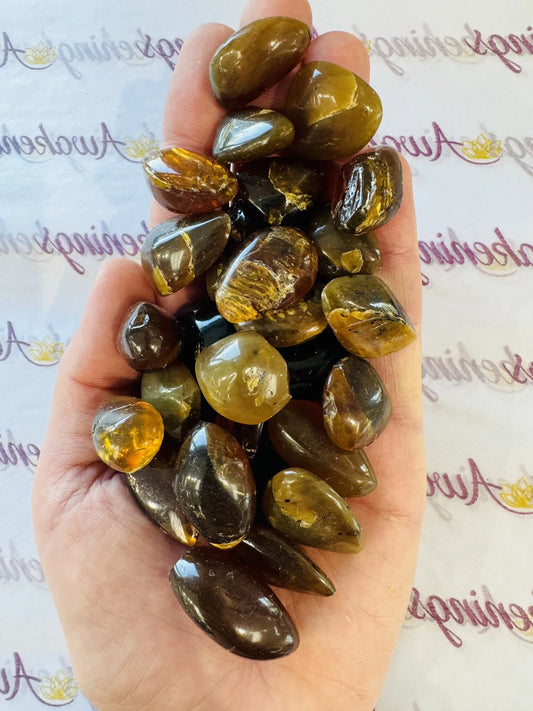 Sumatra Amber - Tumbled