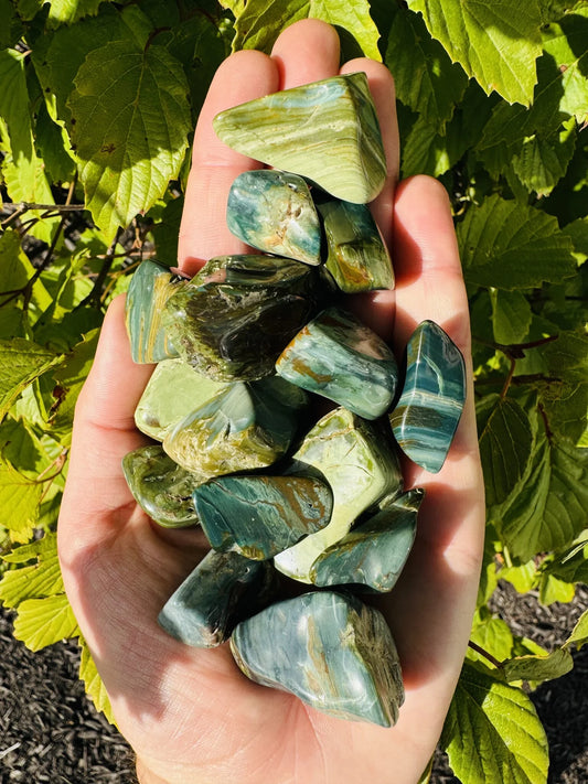 Swamp Bogwood (Larsonite) - Tumbled