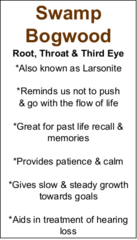 Swamp Bogwood (Larsonite) - Tumbled