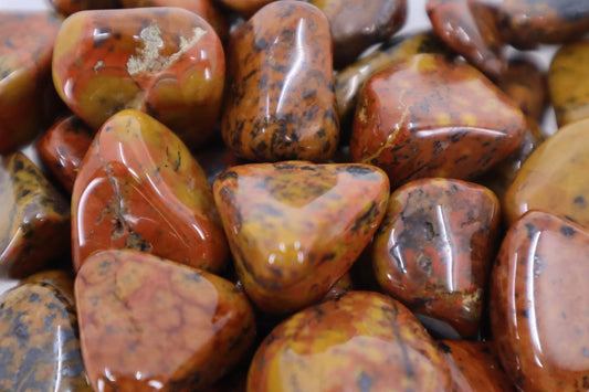 Tigers Skin Tail Jasper - Tumbled