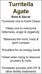 Turritella Agate - Tumbled Small