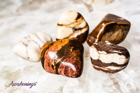 Zebra Jasper - Tumbled (Brown & White)