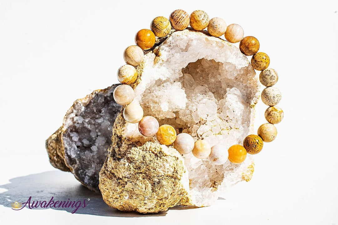 Fossilized Bracelet-8mm