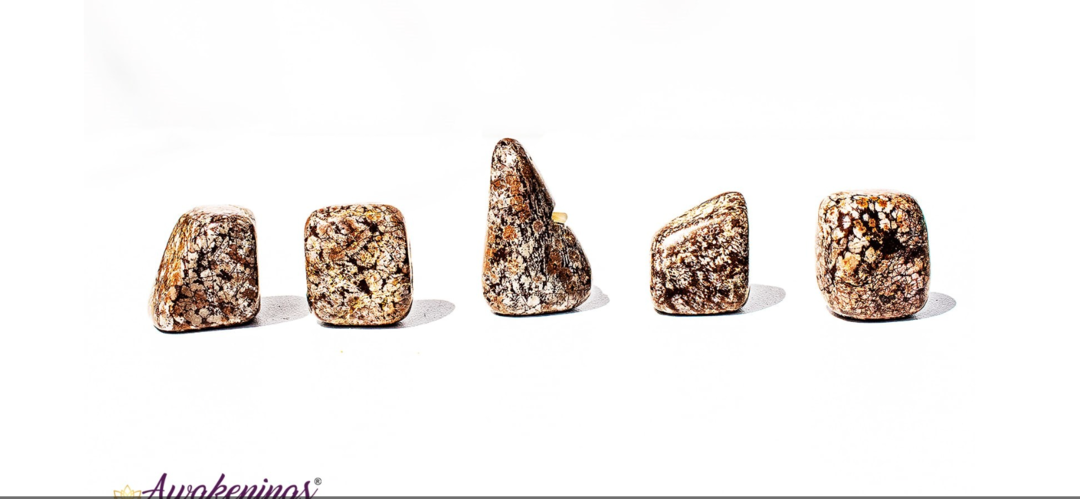 Brown Chocolate Snowflake Obsidian- Tumbled