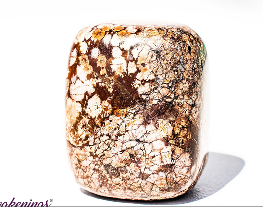 Brown Chocolate Snowflake Obsidian- Tumbled