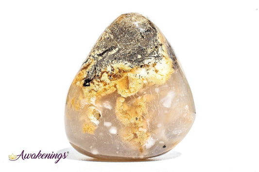 Dendritic Agate - Tumbled