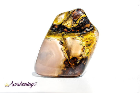 Dendritic Agate - Tumbled