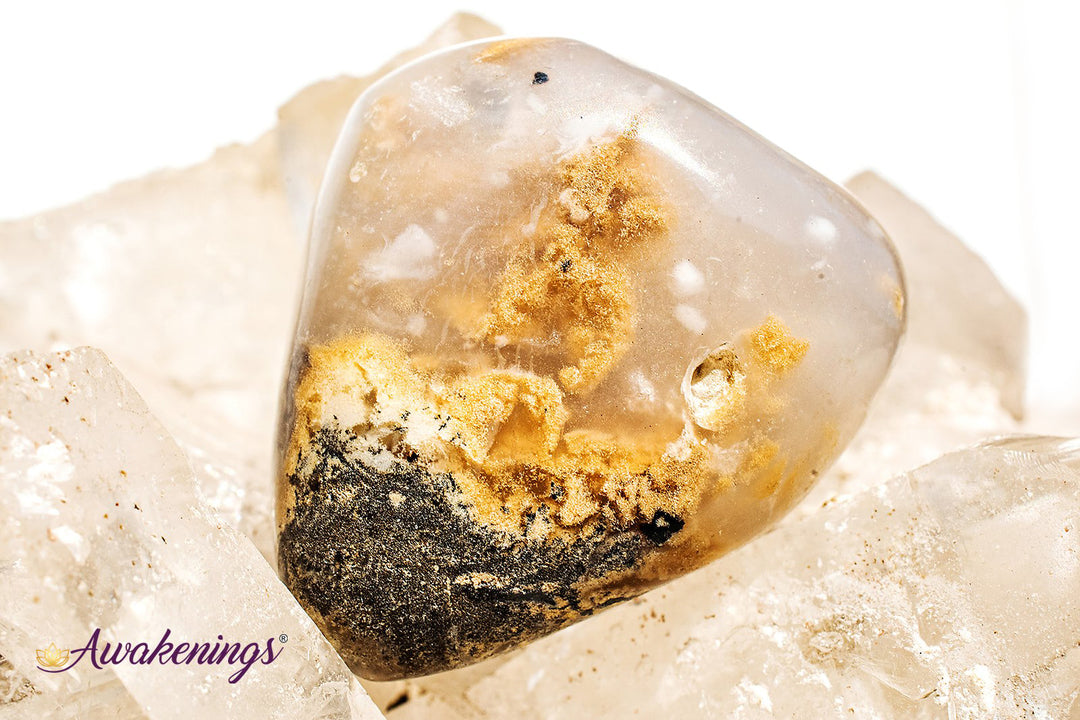 Dendritic Agate - Tumbled