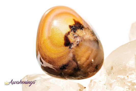 Bamboo Leaf Agate - Tumbled