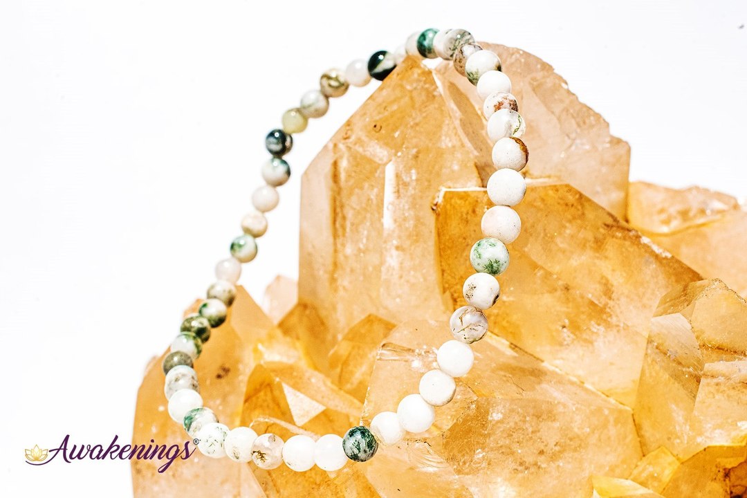 Tree Agate Bracelet - 4mm