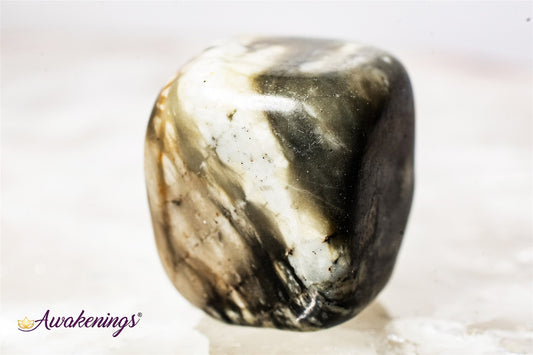 Picasso Jasper - Tumbled