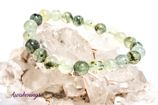 Prehnite Bracelet 8mm