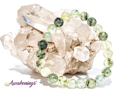 Prehnite Bracelet 8mm