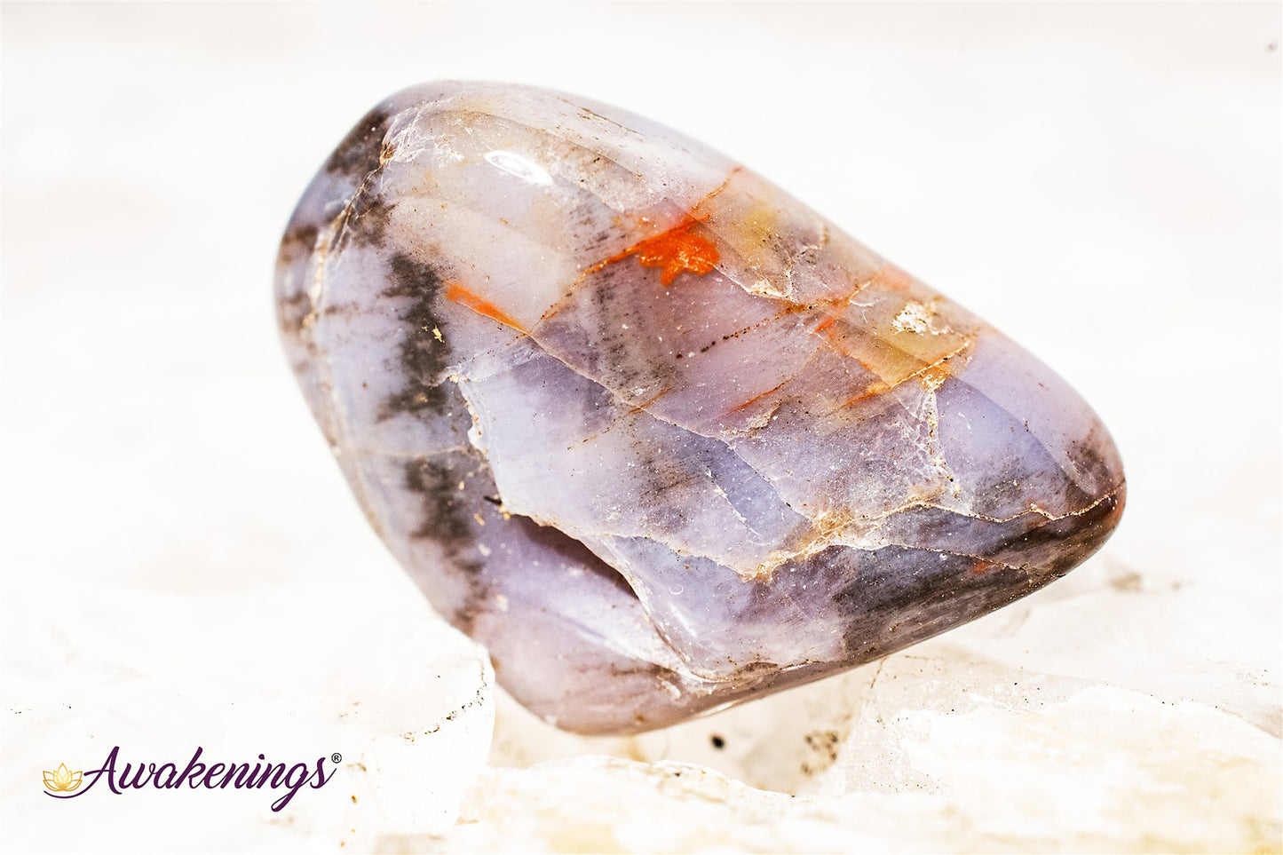 Petrified Wood Medium - Tumbled