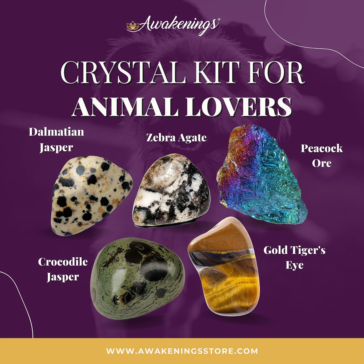 Animal Lovers Crystal Kit