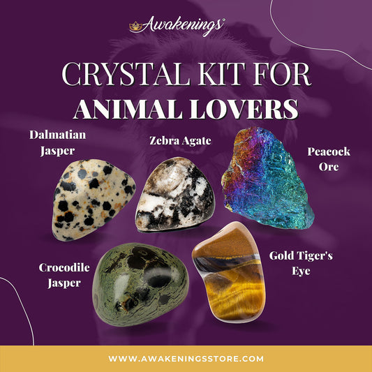 Animal Lovers Crystal Kit