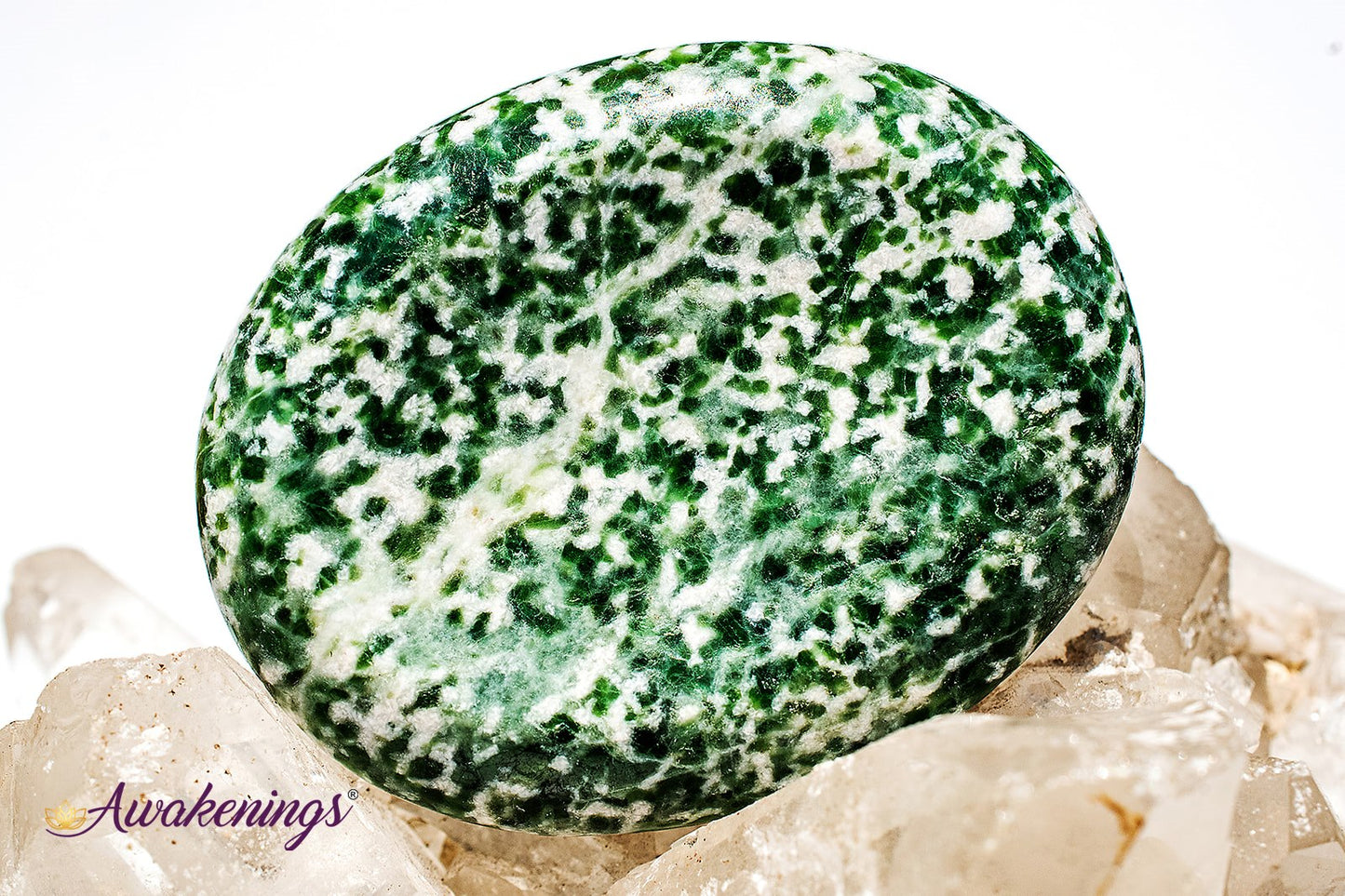 Tree Agate Worry Stone- Large Oval
