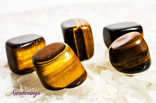 Gold Tigers Eye - Tumbled