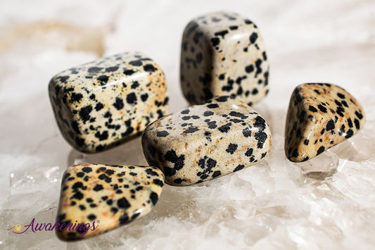 Dalmatian Jasper - Tumbled