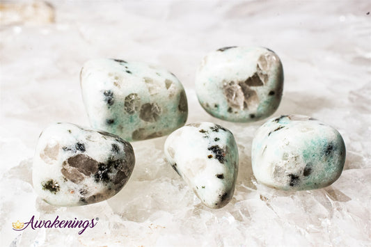 Kiwi Jasper - Tumbled