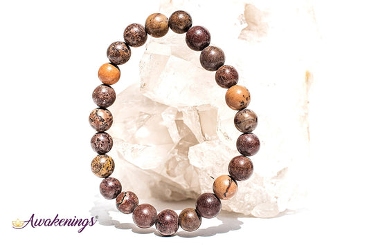 Mexican Agate Bracelet-8mm