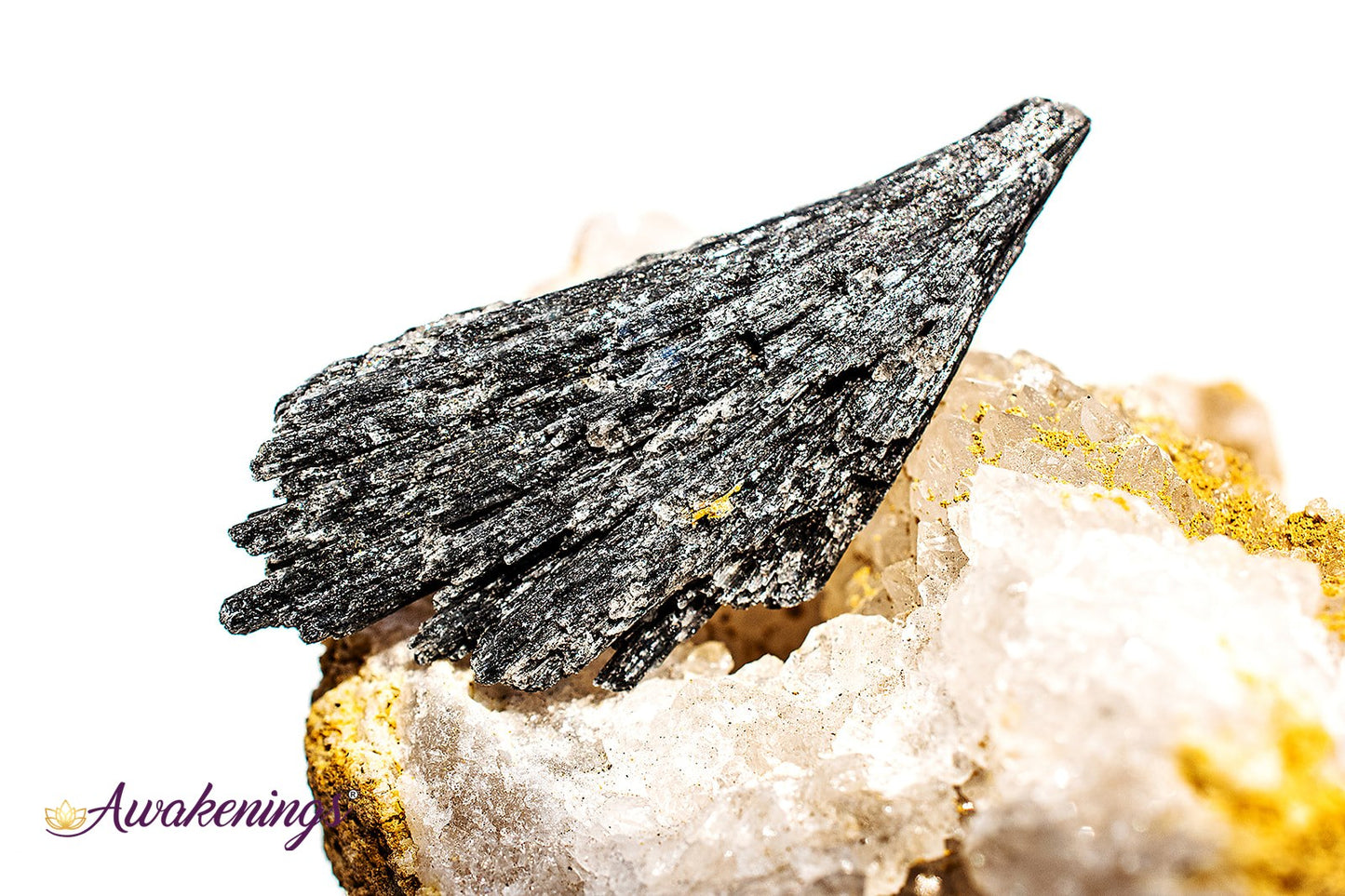 Black Kyanite Fan (1-2.5") - Rough Raw Natural