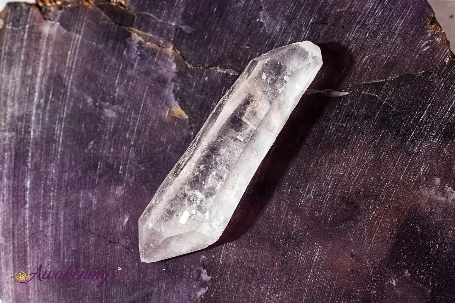 Large Lemurian Seed - Tumbled