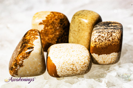 Picture Jasper - Tumbled