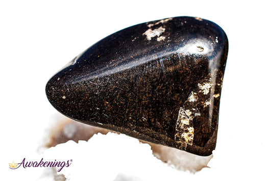 Black Jasper - Tumbled