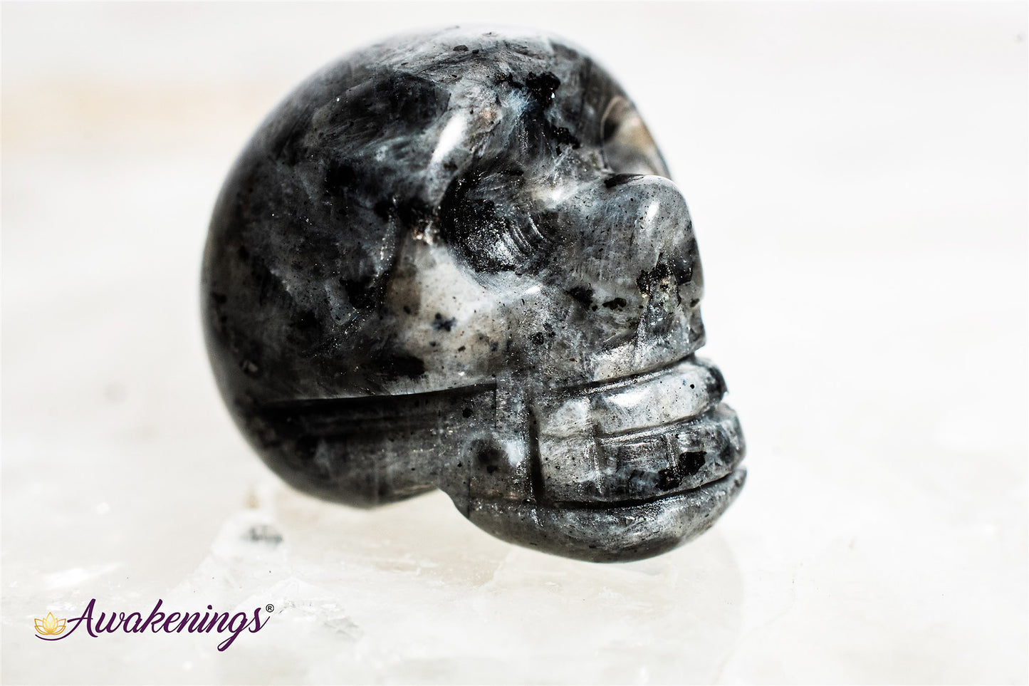 Black Labradorite/Larvikite Skull - Mini
