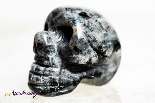 Black Labradorite/Larvikite Skull - Mini