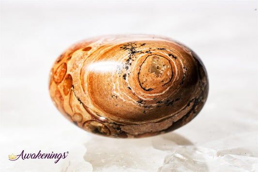 Leopardite - Tumbled