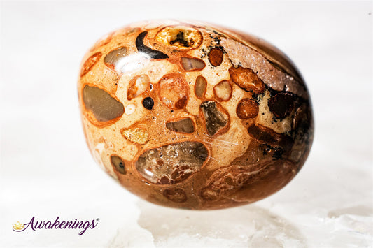 Leopardite - Tumbled