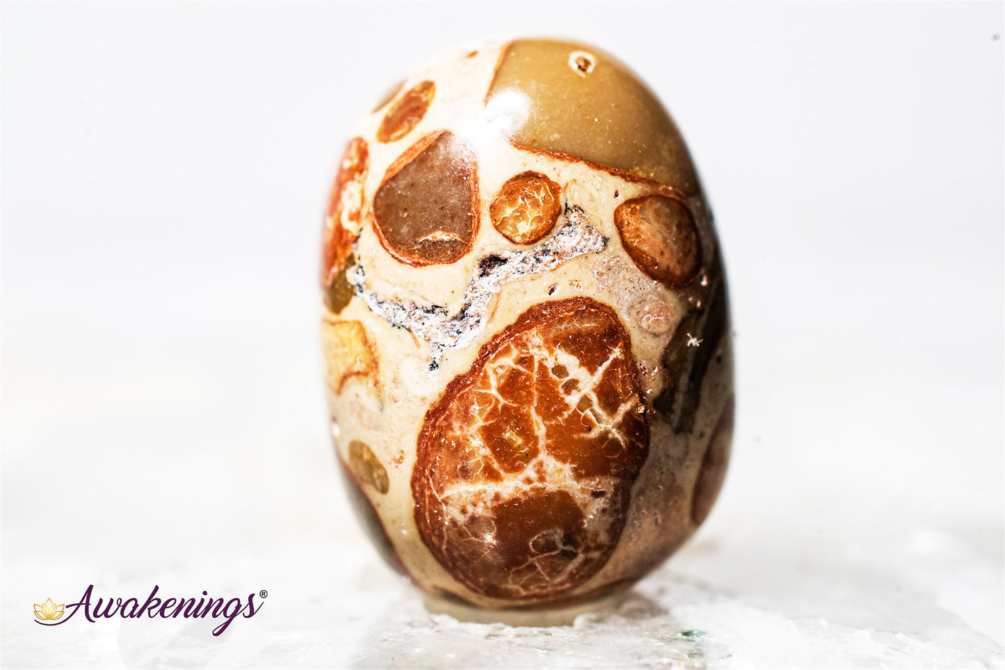 Leopardite - Tumbled