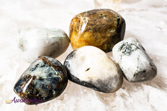 Tibetan Black Quartz - Tumbled