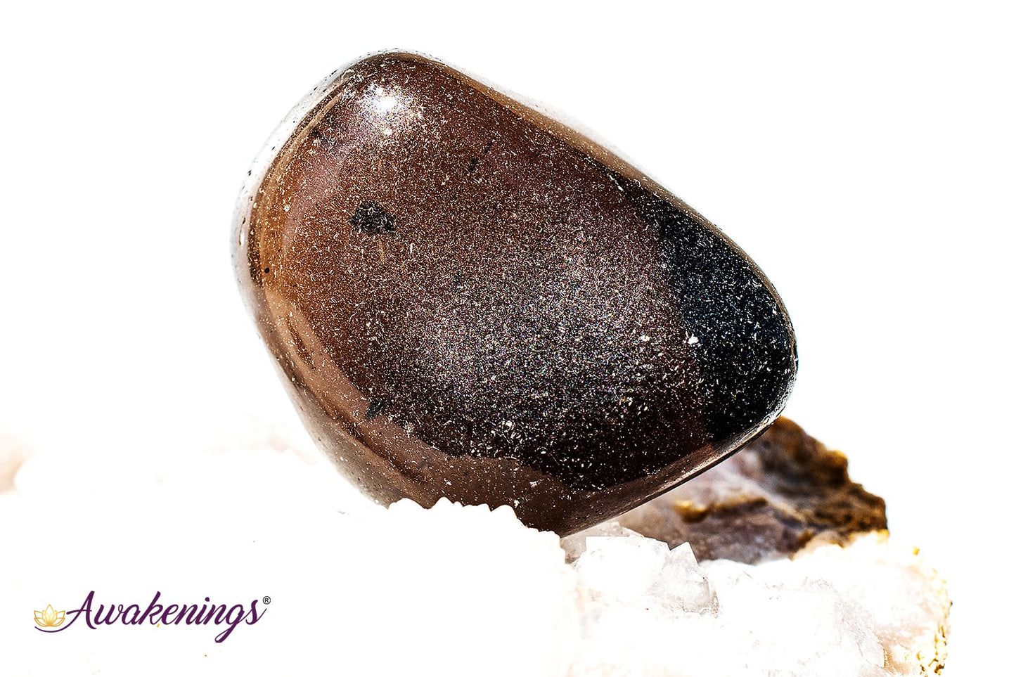 Apache Tear - Tumbled (Smooth)