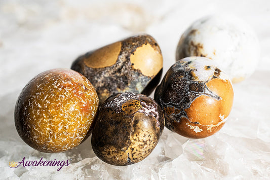 Conglomerate Jasper- Tumbled