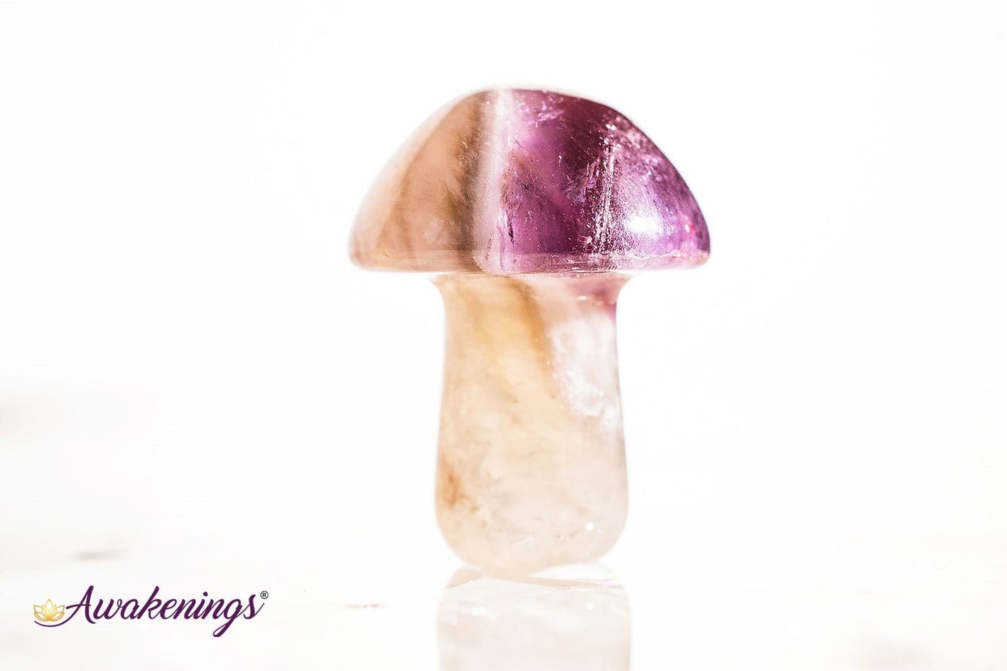 Amethyst Mushroom- Mini