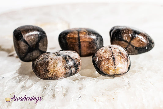 Chiastolite - Tumbled