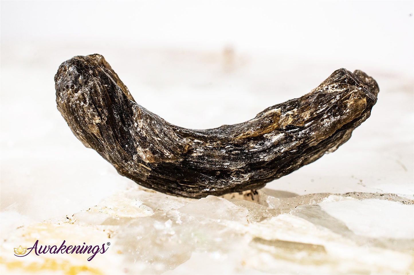 Darwin Glass (Darwinite) Tektite - Rough, Raw Natural