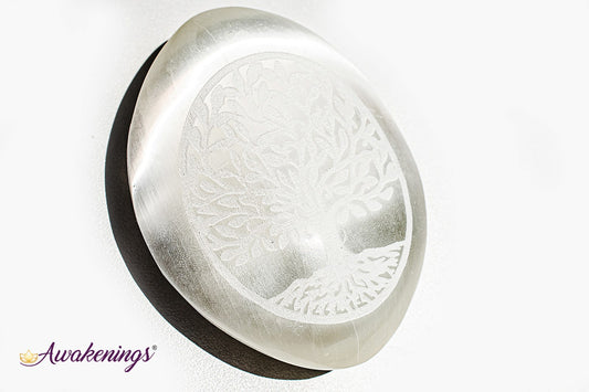 Selenite/Satin Spar Tree of Life Engraved Palm/Pillow/Pocket Stone - 1.5"