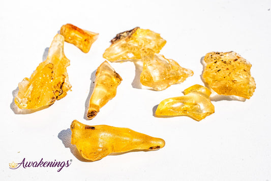 Copal Amber - Tumbled