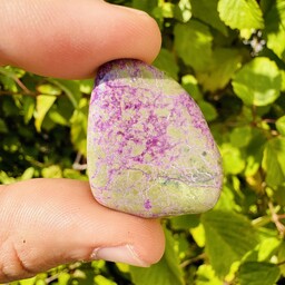 Atlantisite (Stichtite in Serpentine Tasmanite) - Tumbled